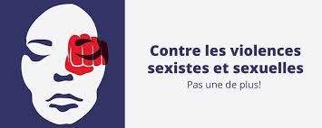 Assemblée des Francais de l'Etranger et Violences sexuelles et sexistes